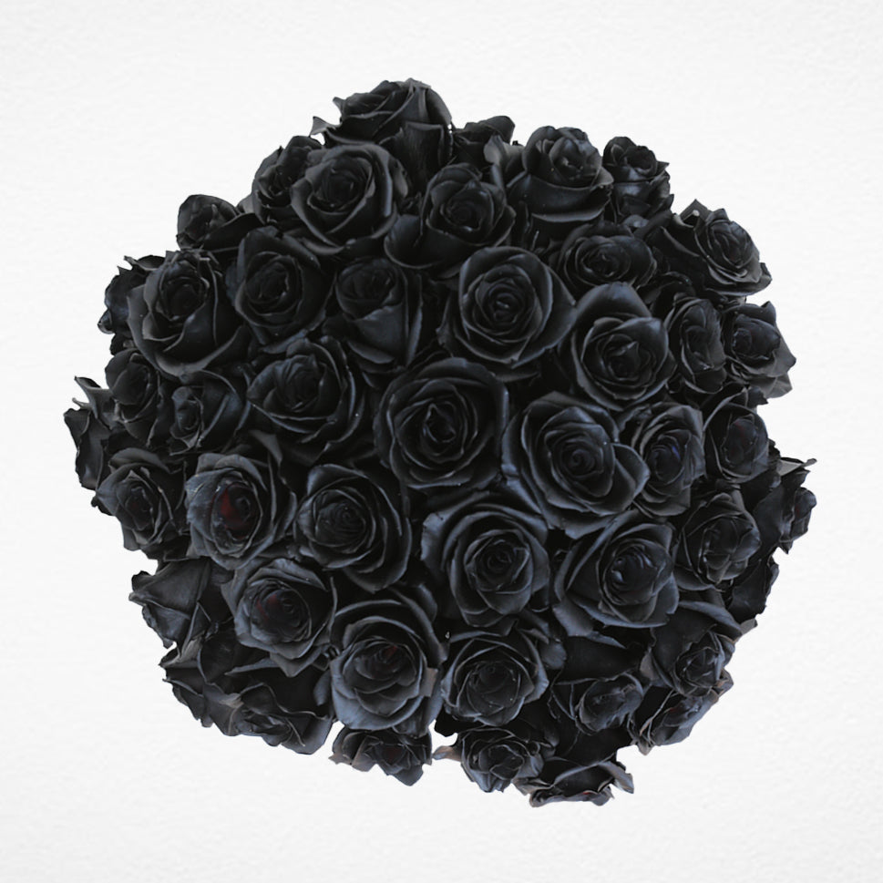 Black Roses Wholesale – Rosaholics Wholesale