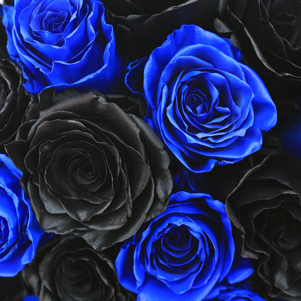 Buy Black and Blue Roses Wholesale – Rosaholics Wholesale