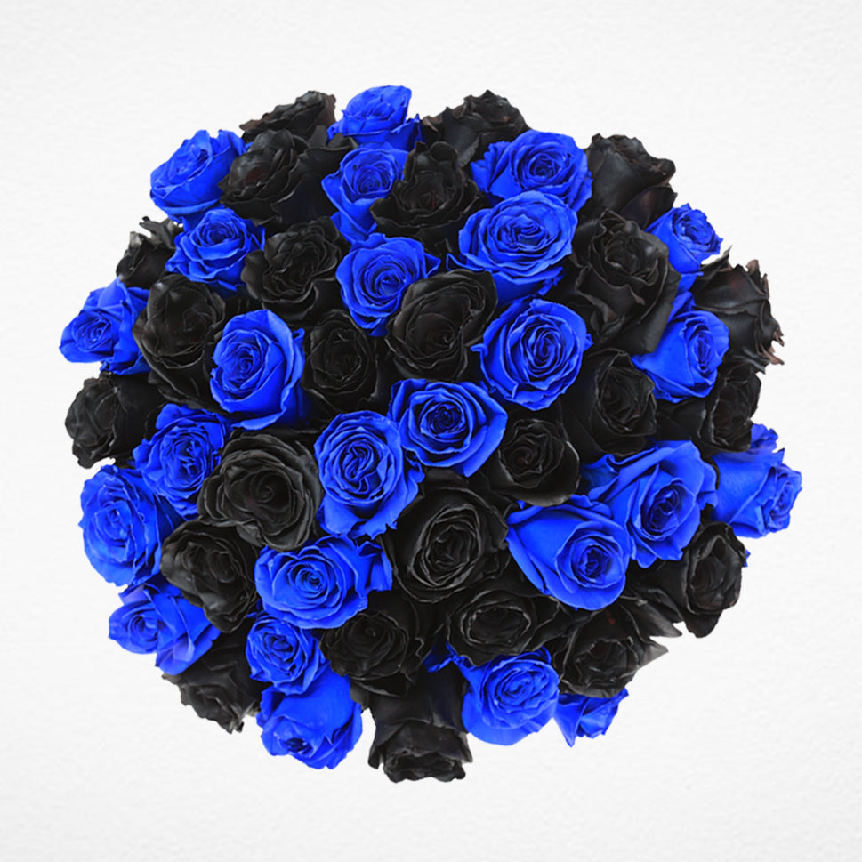 Buy Black and Blue Roses Wholesale – Rosaholics Wholesale