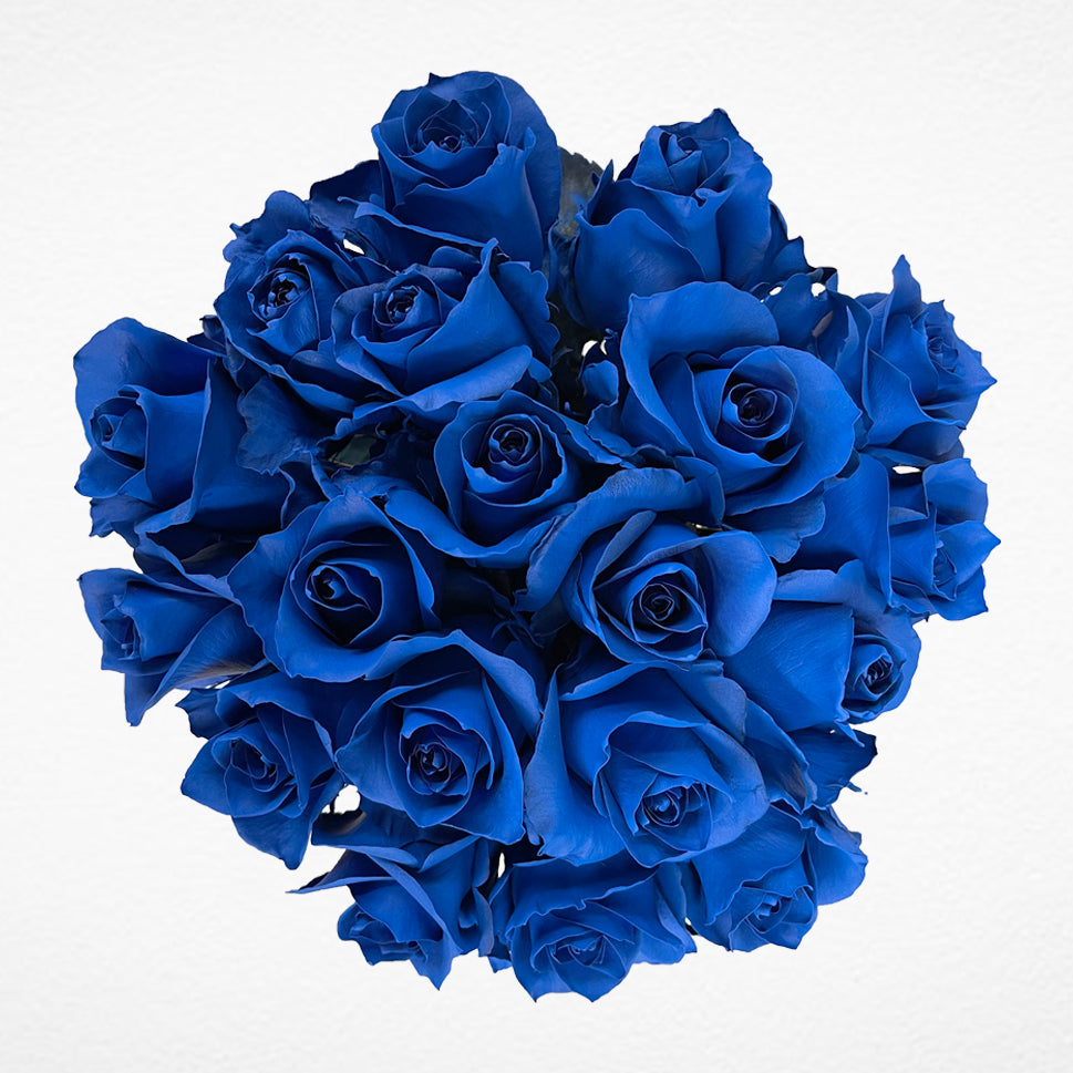 Beautiful Blue Roses