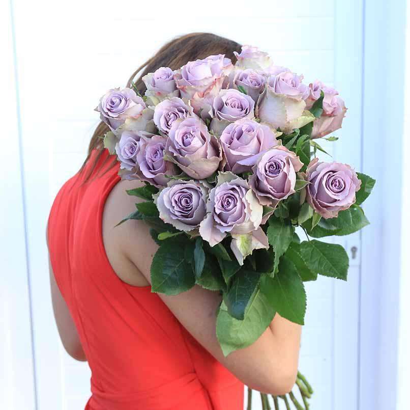 lavender roseさま専用 SPC189, NEW! Lavender Moonlight 紫月光，Chinese Floribunda