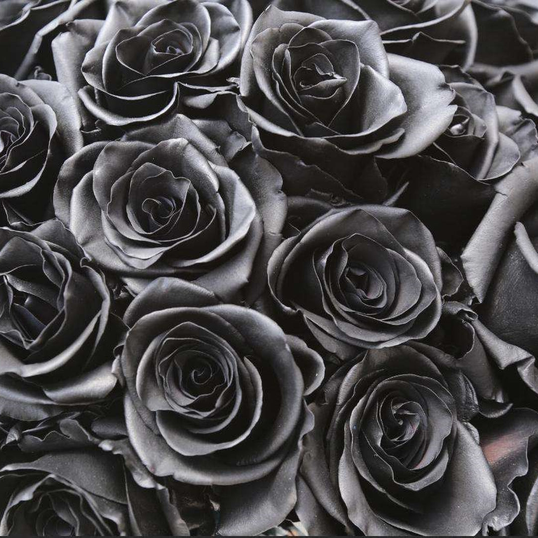 Black Flowers: Types and Mystery Signs – Rosaholics