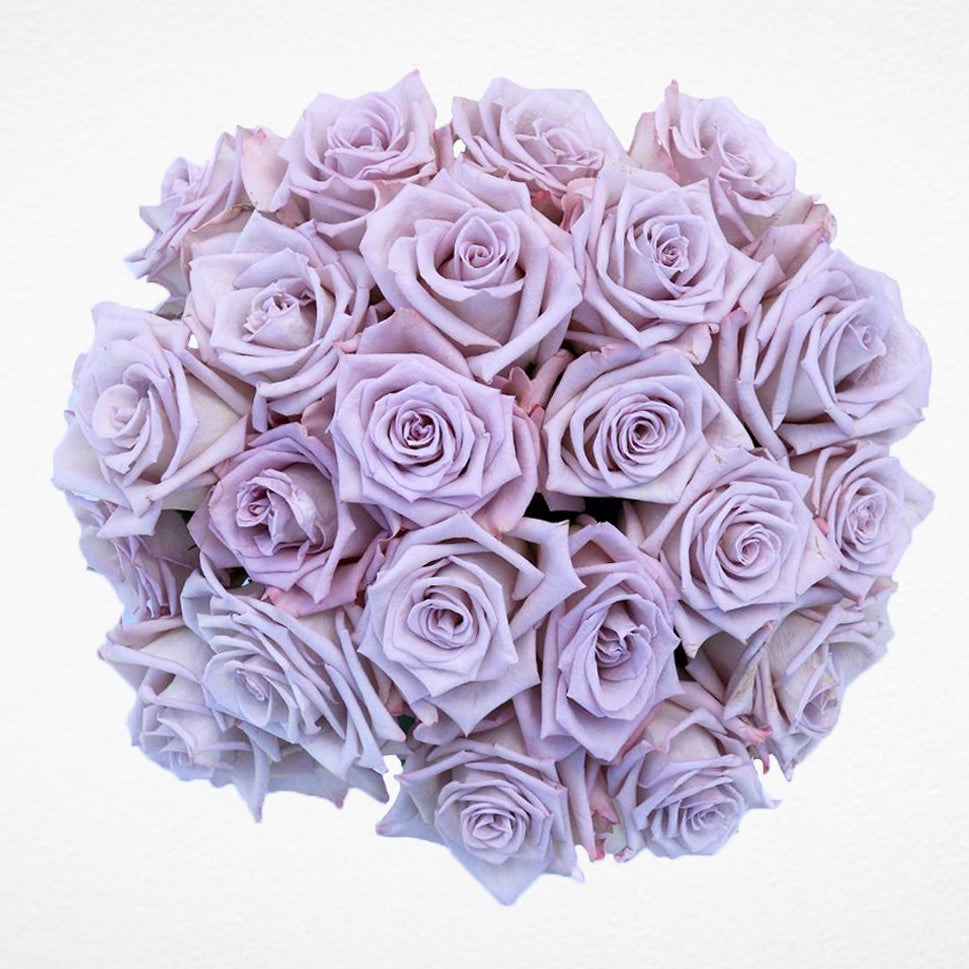 Light Purple Roses