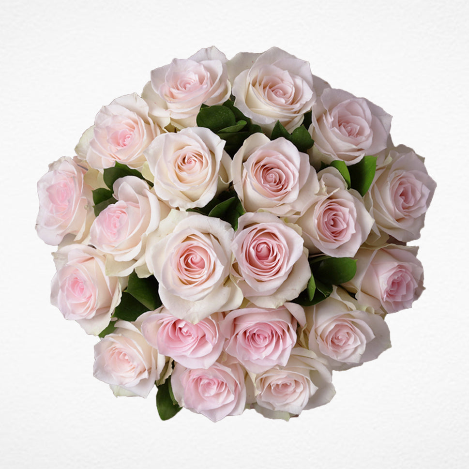 Pink Roses Product Soft Pink Roses New Dawn