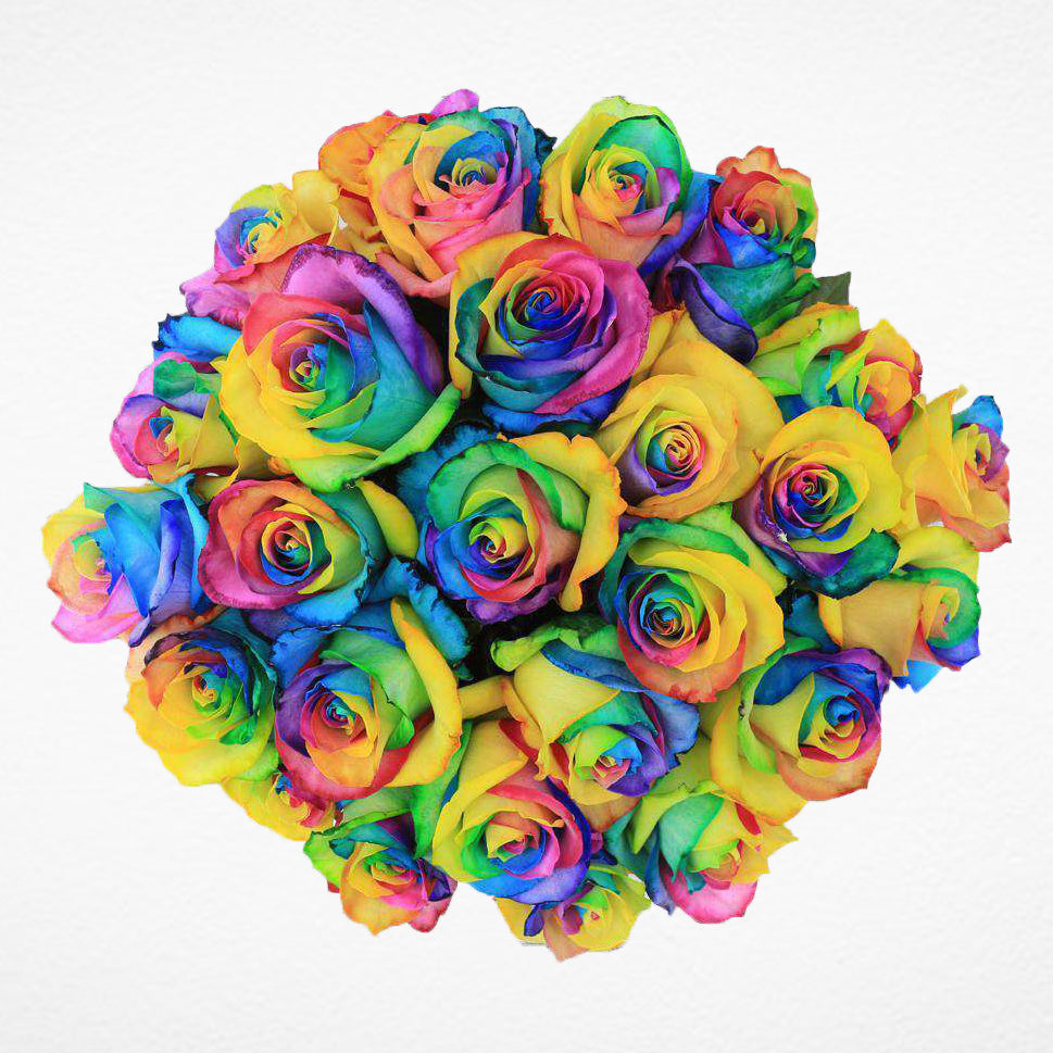 Order Rainbow Roses Rainbow Roses Hd